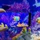 Imagen para el artículo titulado El procesado de color del OnePlus 10 Pro es un espectáculo, pero ¿será suficiente?